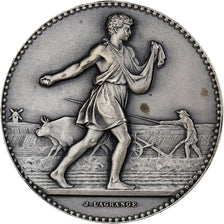 France, Medal, Ministère de l'Agriculture, Associations Agricoles, Silver
