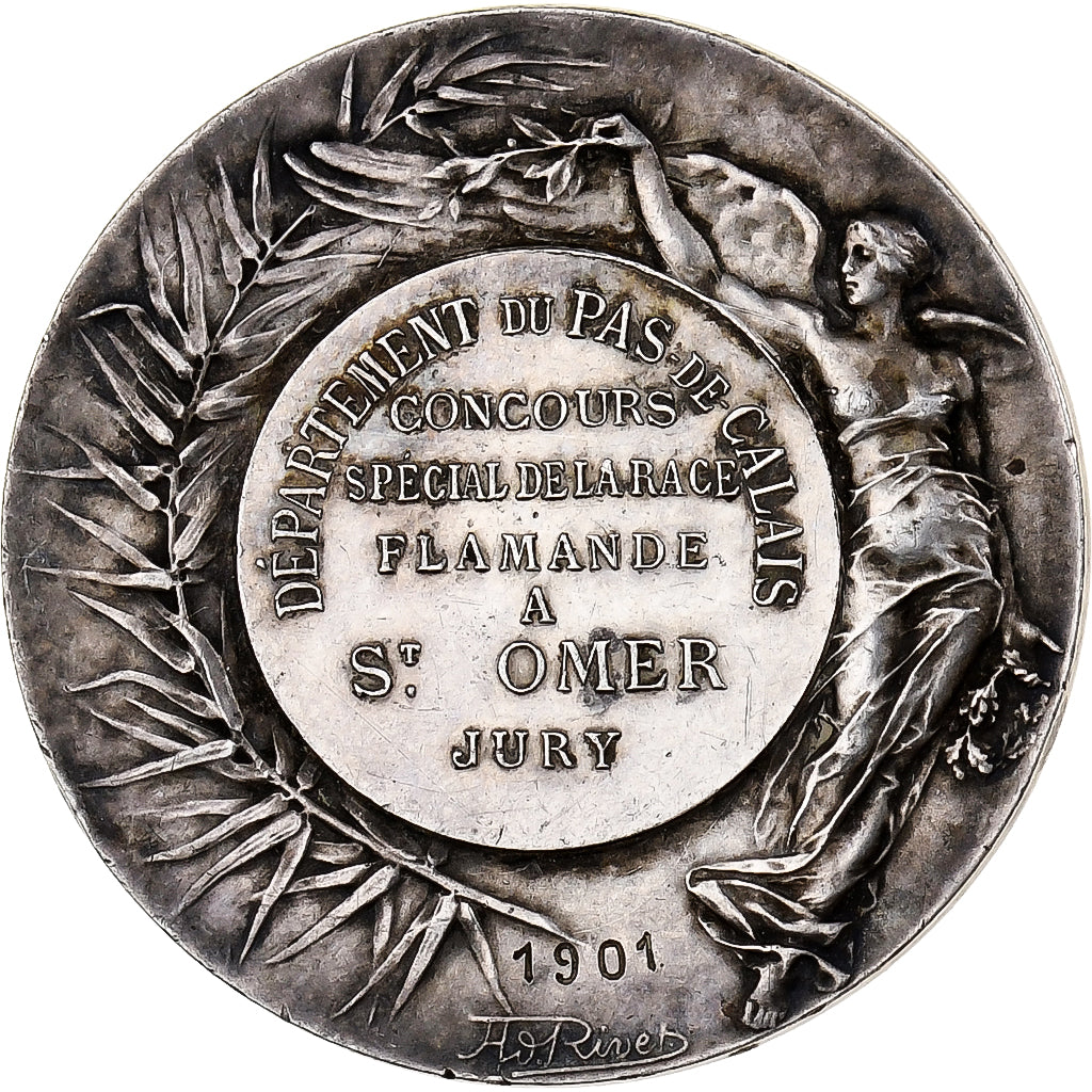 Frankreich, Medaille, Concours d'Agriculture, Race Flamande, Saint-Omer, 1901