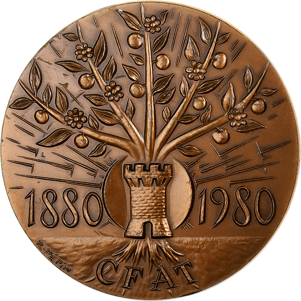 Francia, medaglia, Société Centrale de Banque, 1980, Bronzo, Pépin, SPL