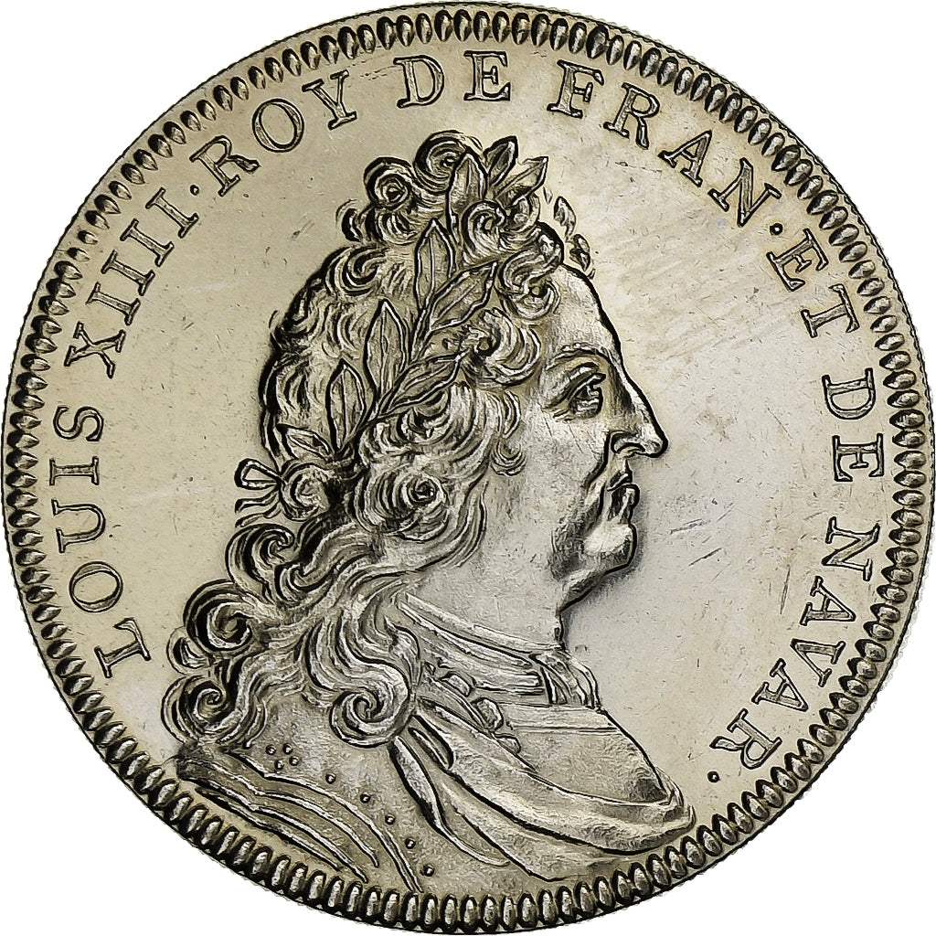 França, Medal, Les rois de France, Louis XIV, História, MS(65-70), Níquel