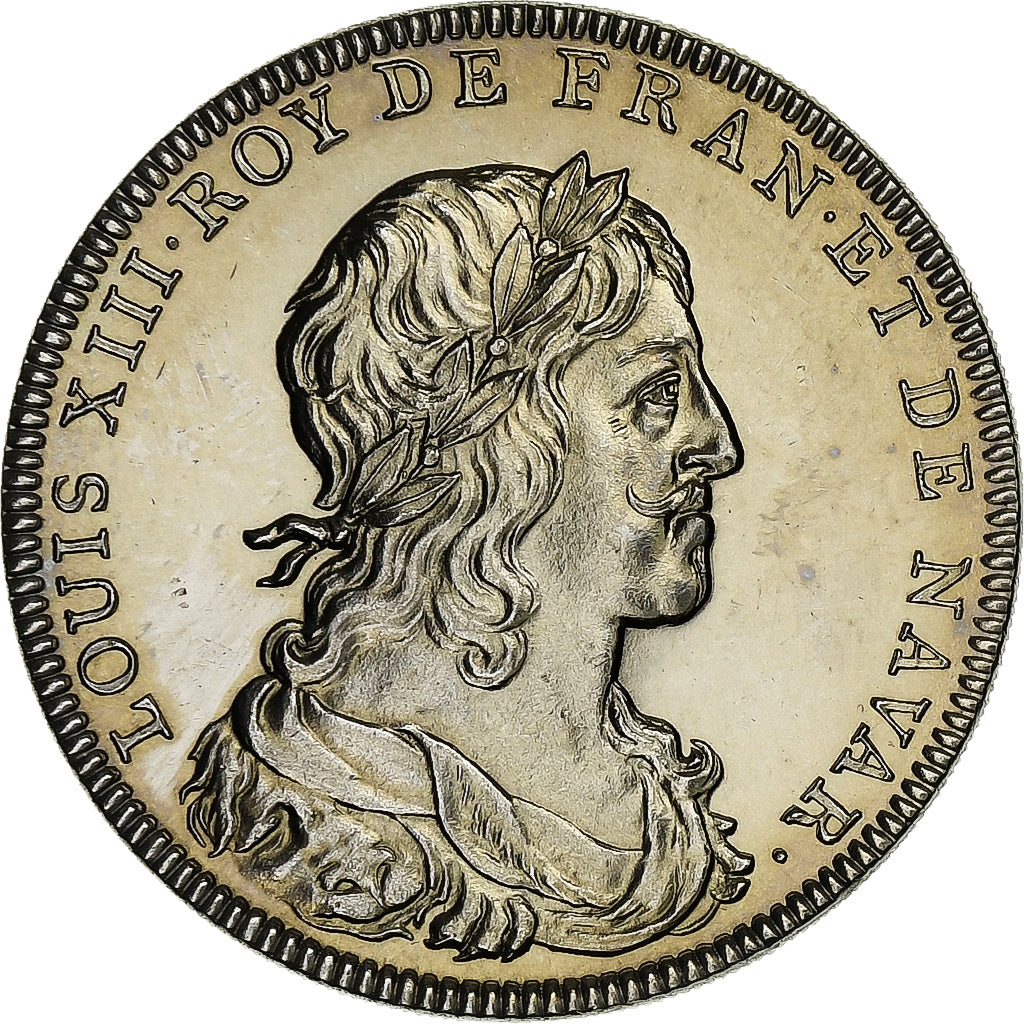France, Medal, Les rois de France, Louis XIII, Nickel, MS(64)