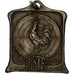 France, Médaille, Union des Sociétés de Tir de France, Bronze argenté, TTB
