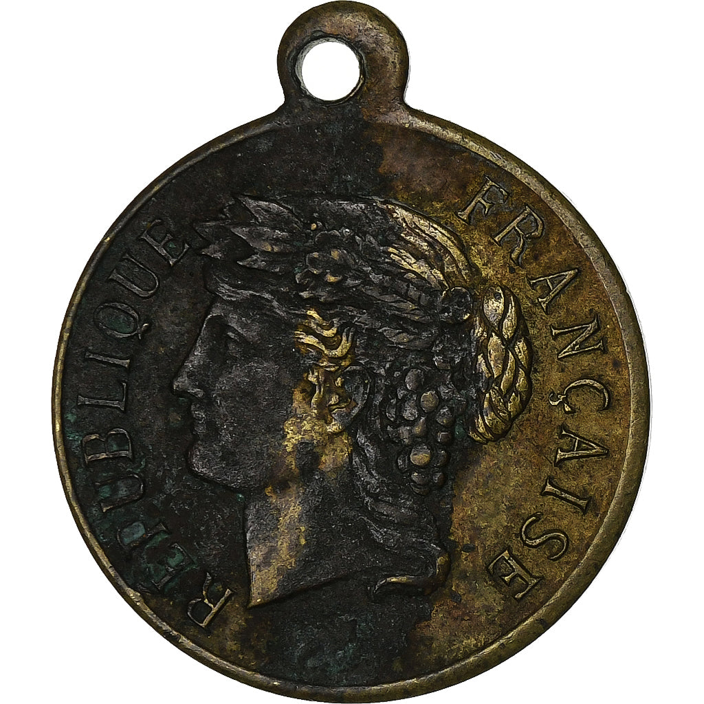 França, medalha, Concours de Musique de Falaise, 1891, Latão, VF(30-35)