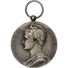 Francia, Ministère du Travail et de la Sécurité Sociale, medalla, 1959, Muy