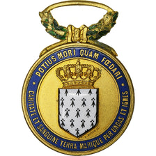 France, Hospitaliers Sauveteurs Bretons, Medal, Very Good Quality, Gilt Bronze