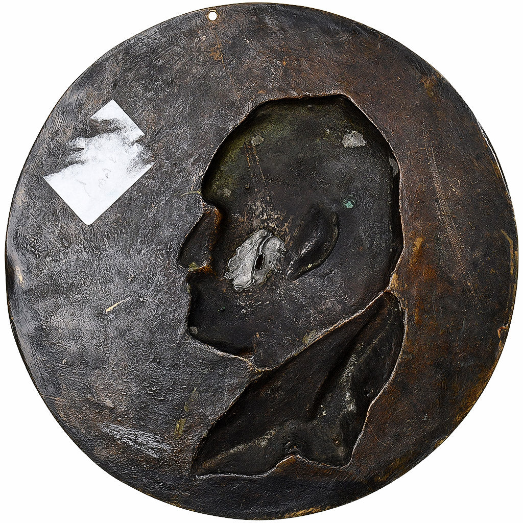 France, Medal, Victor Hugo, 1884, Bronze, Ringel d'Illzach, Fonte Uniface