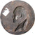 Francja, medal, Victor Hugo, 1884, Brązowy, Ringel d'Illzach, Fonte Uniface