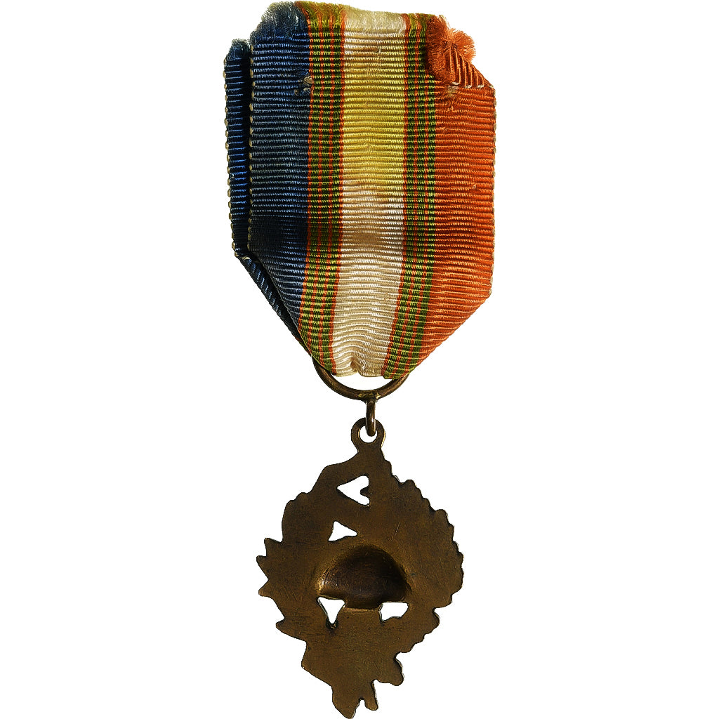 Francja, Union Nationale des Combattants, medal, Bardzo dobra jakość
