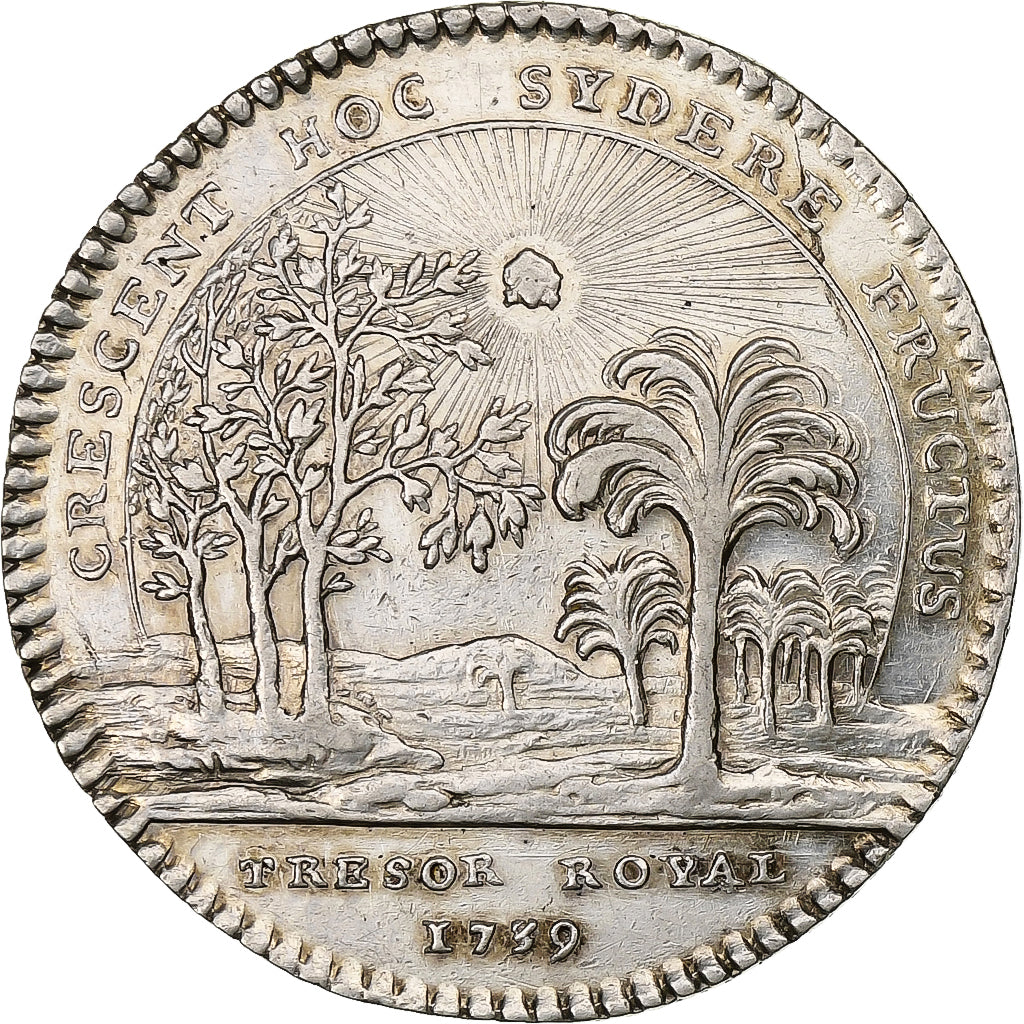 France, Token, Louis XV, Trésor Royal, 1739, Silver, Duvivier, MS(60-62)