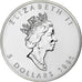 Canada, Elizabeth II, 5 Dollars, 1991, Royal Canadian Mint, Srebro, MS(64)
