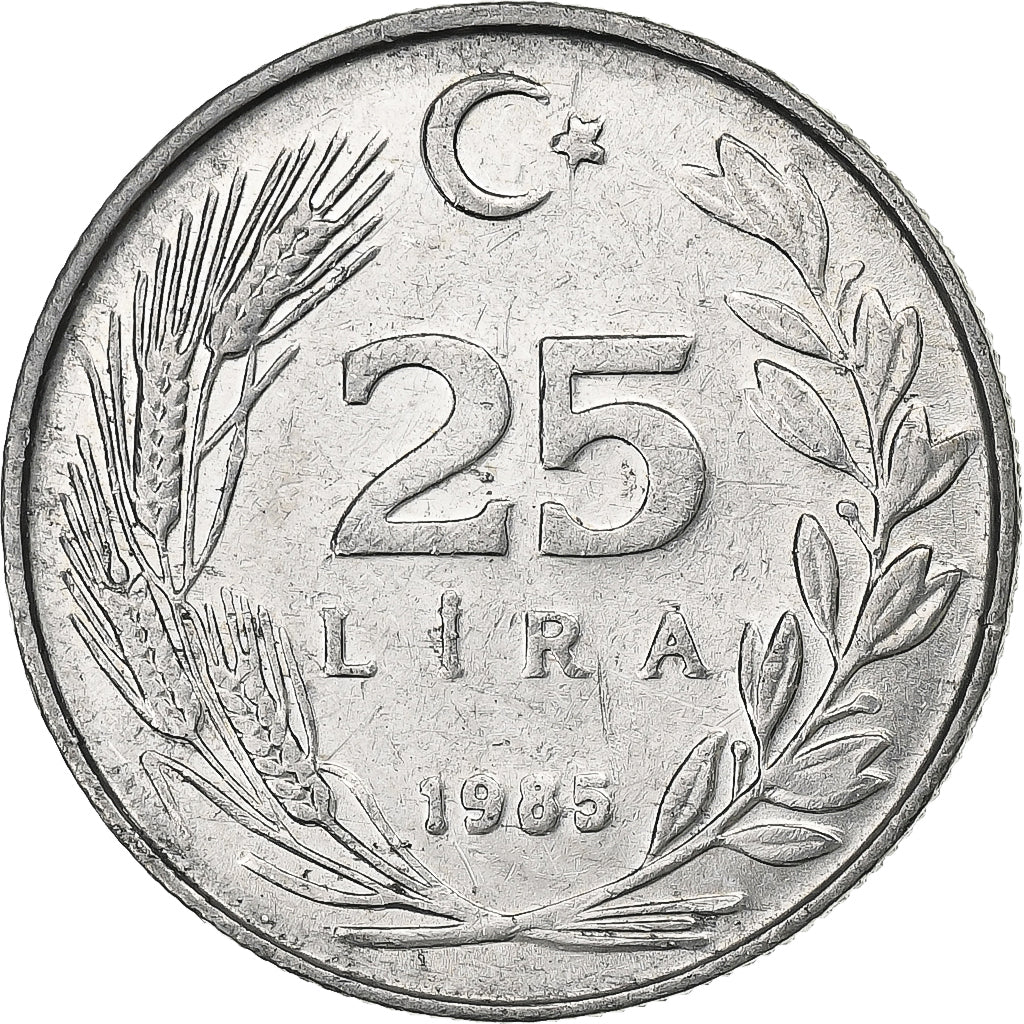 Turkey, 25 Lira, 1985, Aluminum, VF(30-35), KM:975