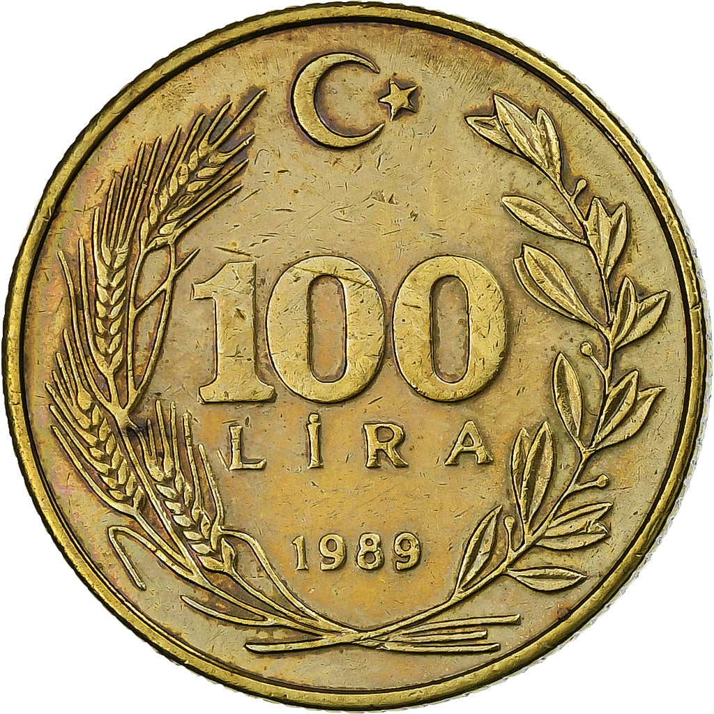 Türkei, 100 Lira, 1989, Aluminum-Bronze, SS, KM:988