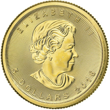 Kanada, Elizabeth II, 5 Dollars, Maple Leaf, 2016, 1/10 Oz, Gold, STGL