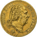 Frankreich, Louis XVIII, 40 Francs, 1817, Paris, Gold, SS, Gadoury:1092