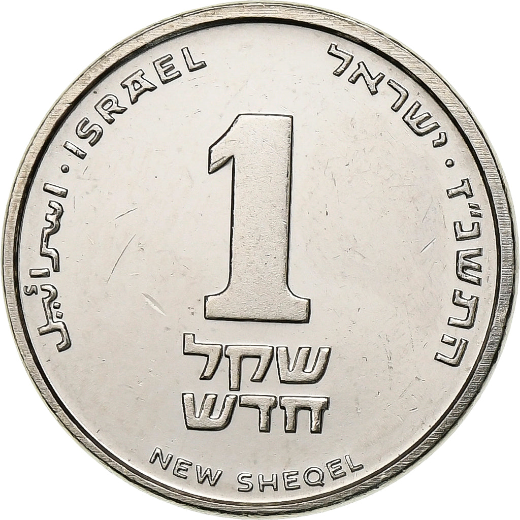 Israele, New Sheqel, 2014, Acciaio placcato nichel, SPL-