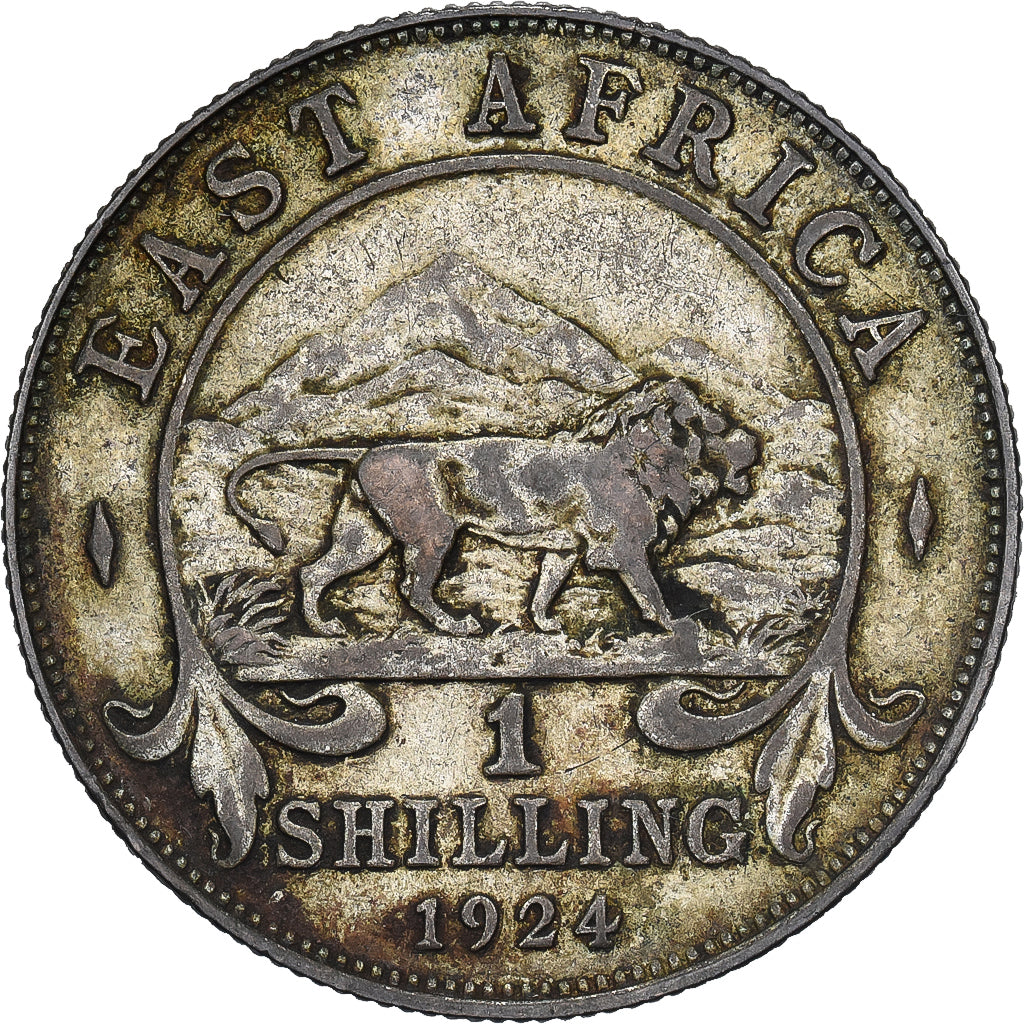 AFRICA ORIENTALE, George V, Shilling, 1924, Argento, MB+, KM:21