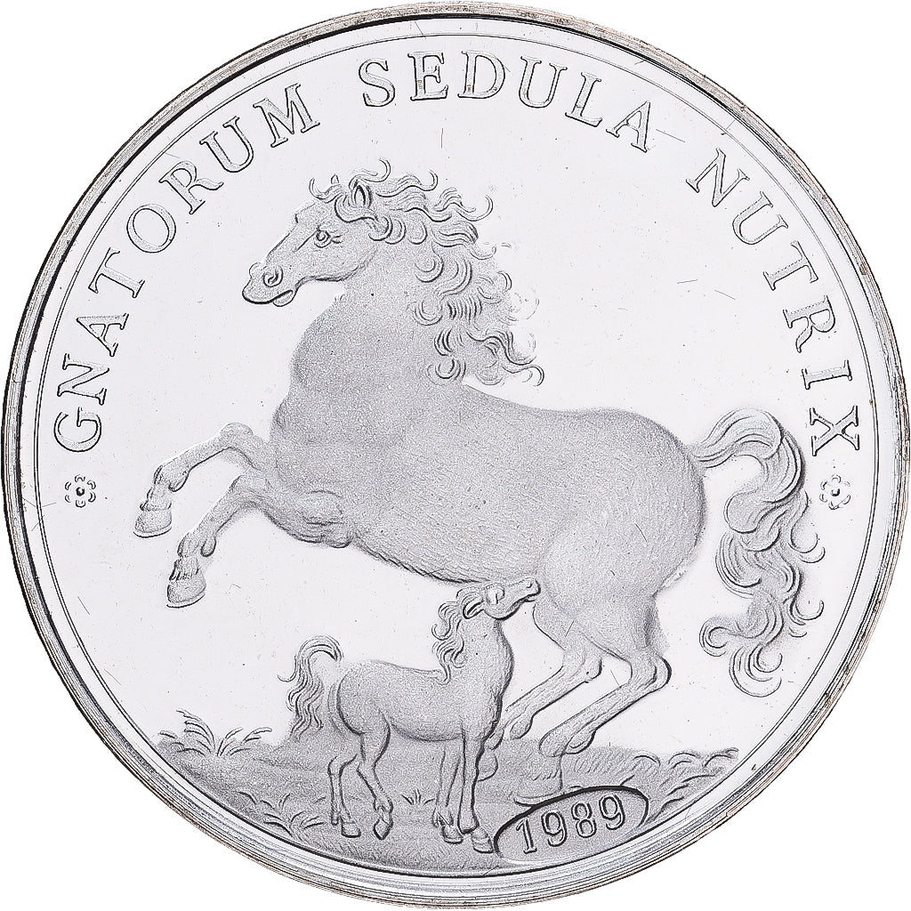Germany, Medal, GNATORUM SEDULA NUTRIX, 1989, Silver, Restrike, MS(63)