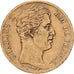Frankrijk, 20 Francs, Charles X, 1828, Paris, Goud, ZF, Gadoury:1029, KM:726.1