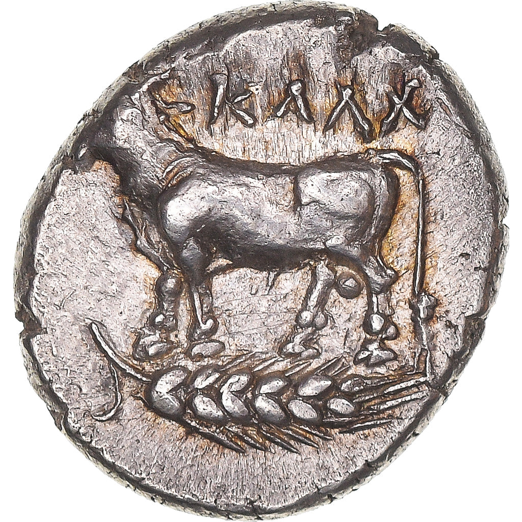 Coin, Bithynia, Drachm, ca. 350 BC, Kalchedon, AU(50-53), Silver