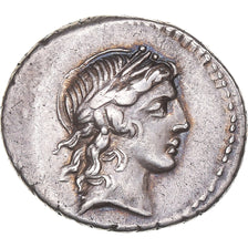 Marcia, Denarius, 82 BC, Rome, Silver, AU(50-53), Crawford:363/1d