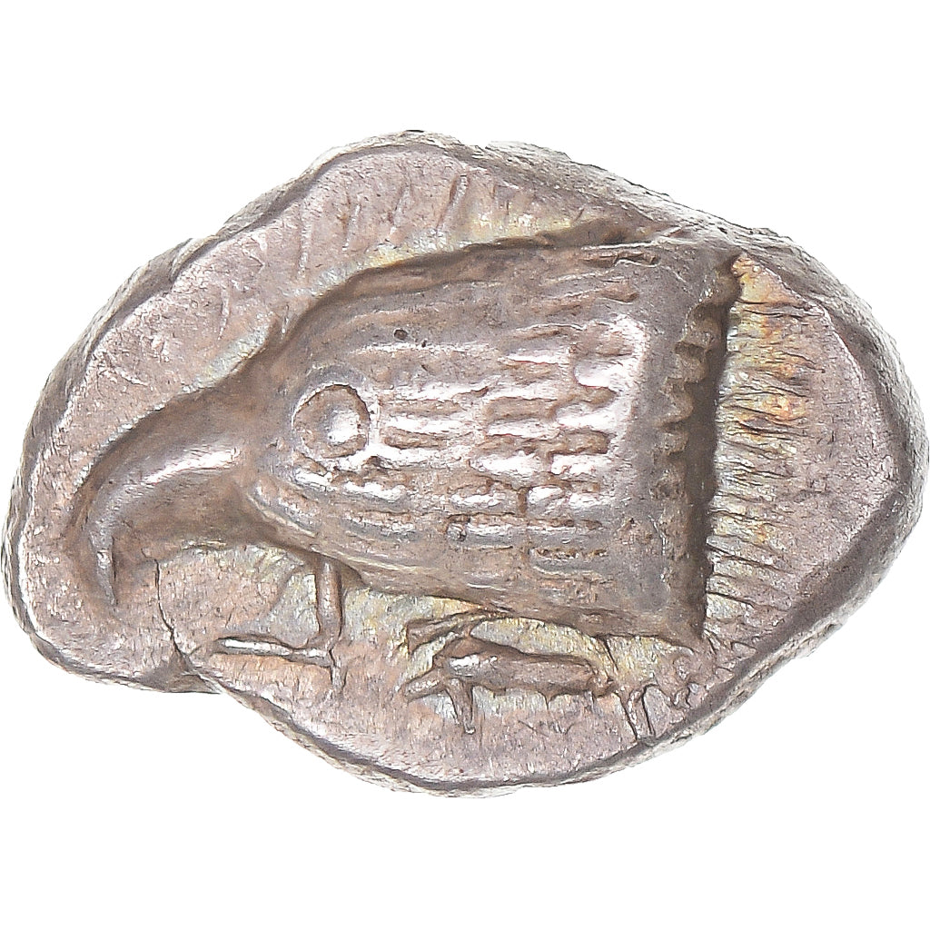 Paphlagonia, Drachm, 480-430 BC, Sinop, Silver, NGC, EF(40-45), SNG-Cop:272