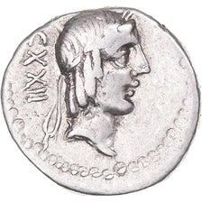 Calpurnia, Denarius, 90 BC, Rome, Prata, EF(40-45), Crawford:340/1