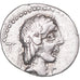 Calpurnia, Denarius, 90 BC, Rome, Silber, SS, Crawford:340/1