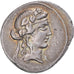 Titia, Denarius, 90 BC, Rome, Silver, AU(50-53), Crawford:341/2