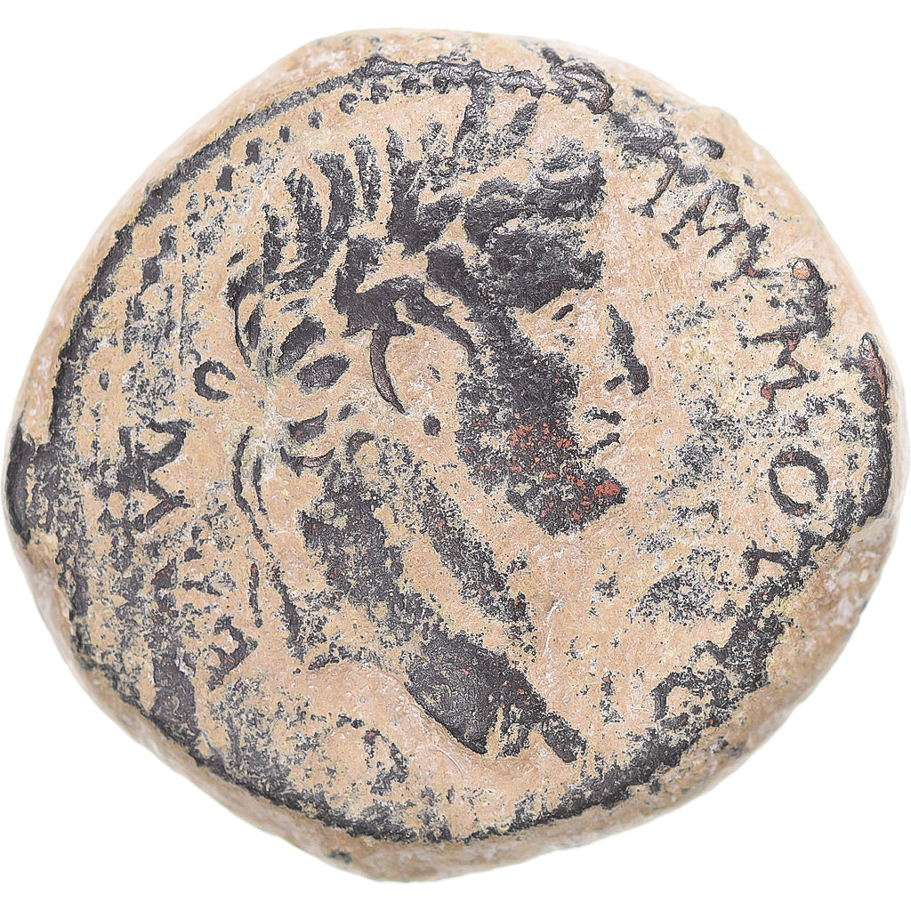 Seleucis and Pieria, Otho, Æ Unit, 69, Antioch, Bronze, VF(30-35), RPC:I-4316
