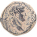 Seleucis and Pieria, Otho, Æ Unit, 69, Antioch, Bronze, VF(30-35), RPC:I-4316