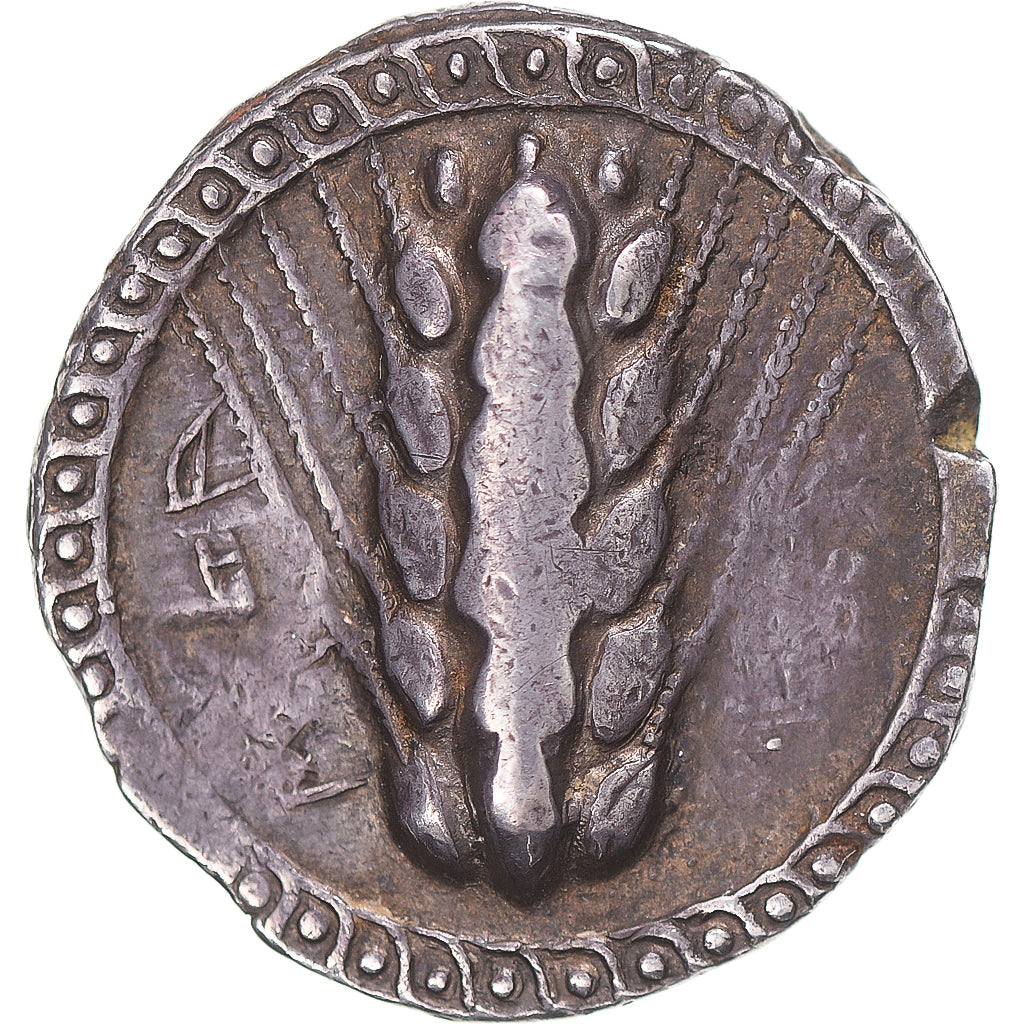Coin, Lucania, Nomos, ca. 510-470 BC, Metapontion, VF(30-35), Silver, HN