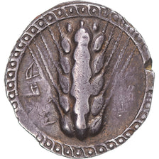 Coin, Lucania, Nomos, ca. 510-470 BC, Metapontion, VF(30-35), Silver, HN