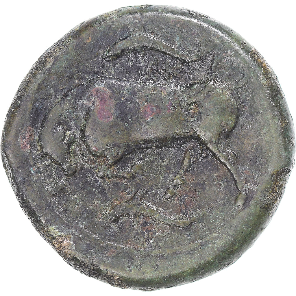 Monnaie, Sicile, Agathoklès, Hemilitron, 317-310 BC, Syracuse, TTB, Bronze