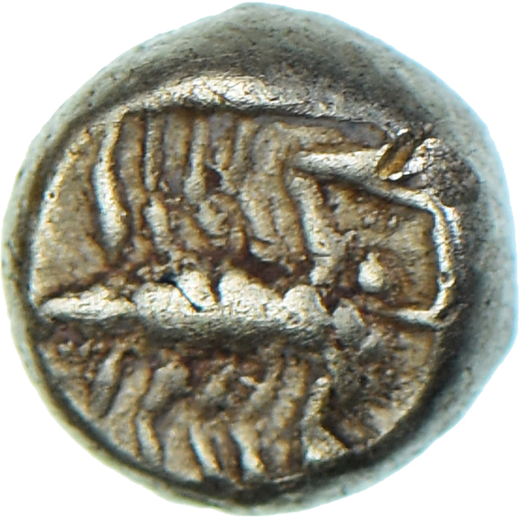 Munten, Ionië, 1/48 Stater, ca. 600-546 BC, Miletos, ZF+, Electrum