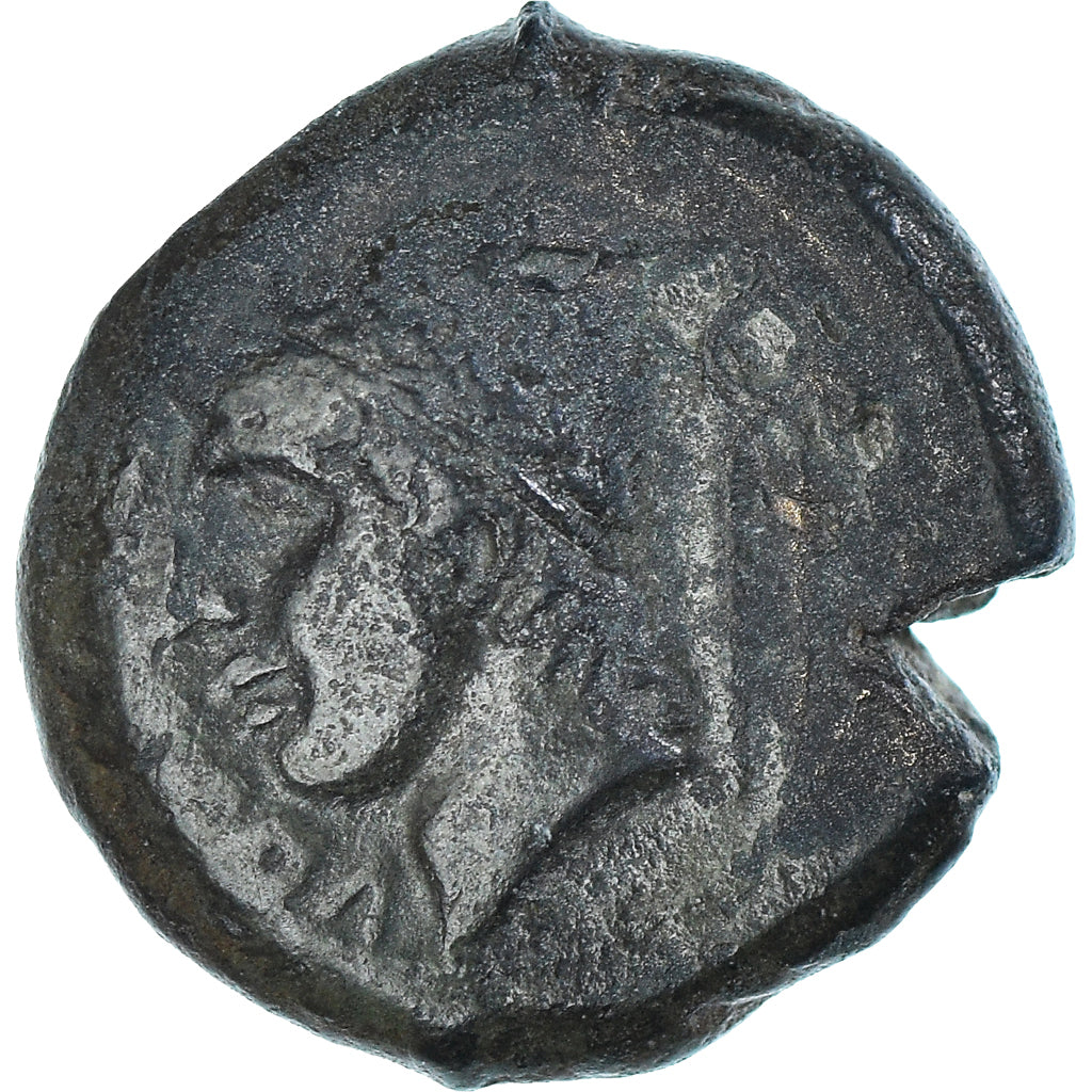 Samnium, Æ, ca. 263-240 BC, Aesernia, Bronzo, NGC, Ch VF, HN Italy:430