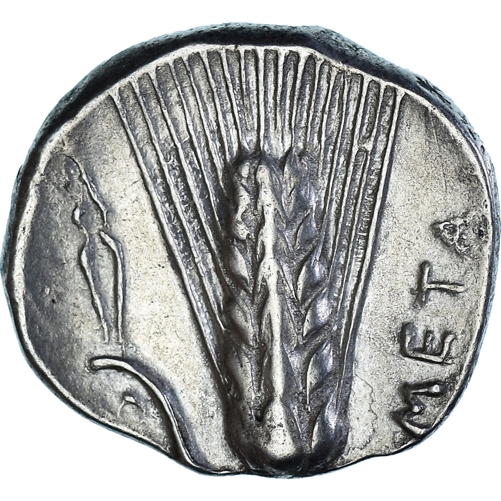 Moneta, Lucania, Stater, ca. 330-290 BC, Metapontion, BB, Argento, HN Italy:1583