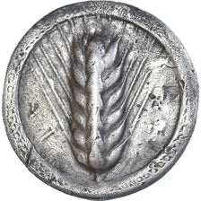 Munten, Lucanië, Stater, ca. 540-520 BC, Metapontion, ZF+, Zilver, HN