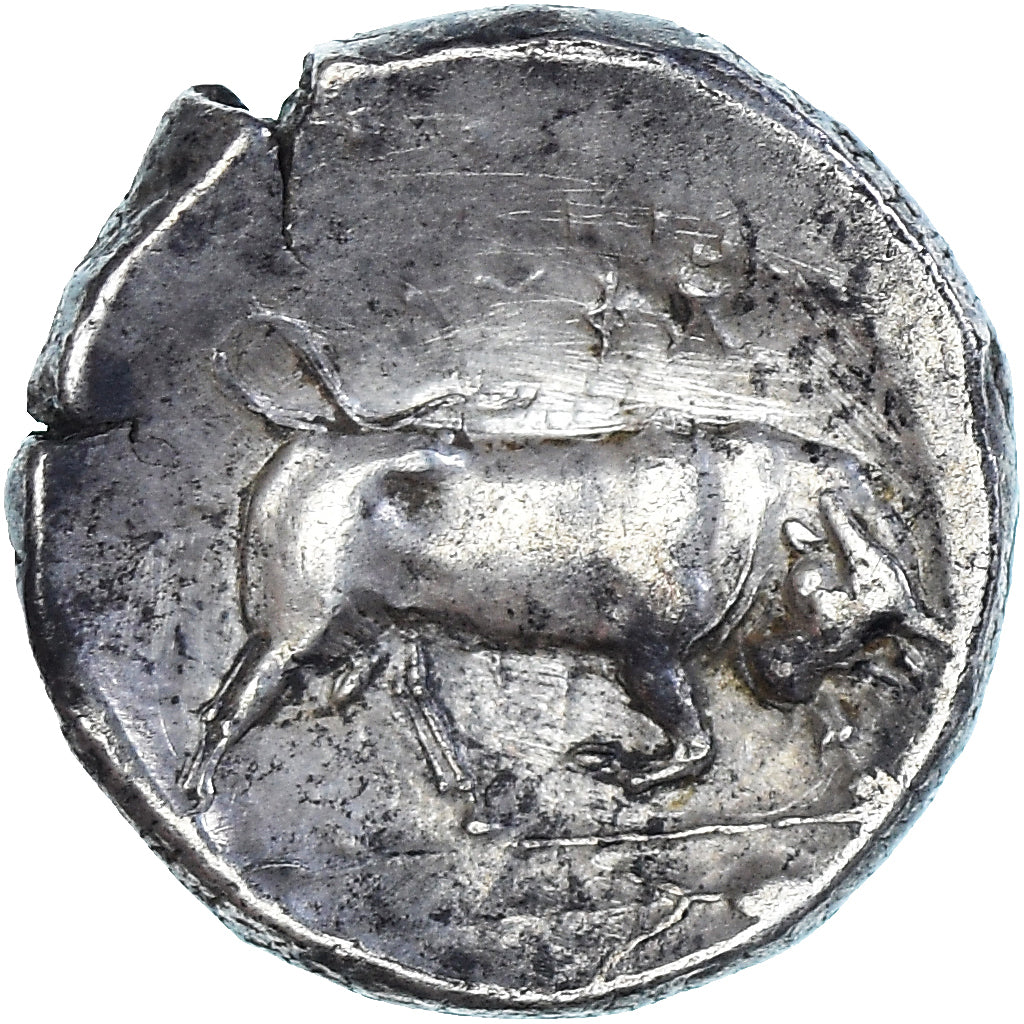 Coin, Lucania, Stater, ca. 350-300 BC, Thourioi, AU(50-53), Silver, HN