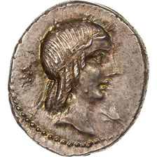 Calpurnia, Denarius, 90 BC, Rome, Silver, MS(60-62), Crawford:340/1