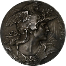 Francja, medal, Srebro, AU(55-58)