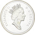 Canada, Élisabeth II, Dollar, 1991, Royal Canadian Mint, Argent, SUP, KM:179