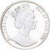 Isle of Man, Elizabeth II, 10 Euro, 1996, Silver, MS(65-70), KM:718