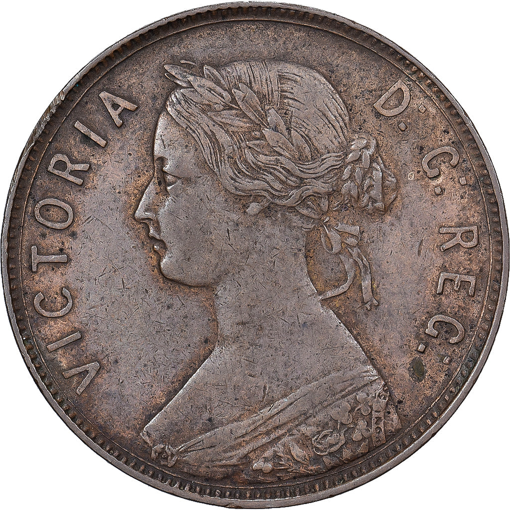 TERRA NOVA, Large Cent, 1876, Bronze, EF(40-45), KM:1
