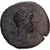 Roman Empire, Marcus Aurelius, Dupondius, 177, Rome, Bronze, SS, Cohen:157