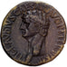 Roman Empire, Claudius, Dupondius, 41-45, Rome, Bronze, EF(40-45), RIC:110