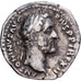 Roman Empire, Antoninus Pius, Denarius, 146, Rome, Silver, EF(40-45), RIC:127
