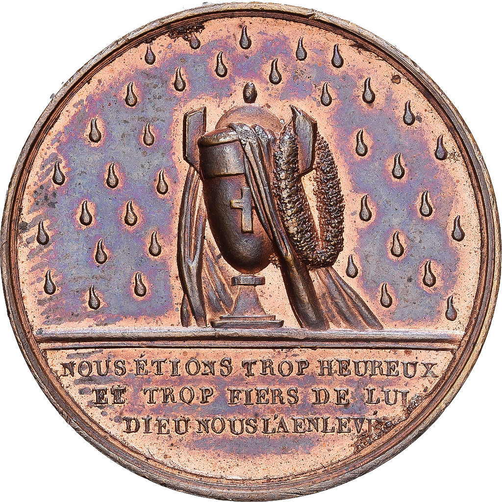 Francia, medalla, Mort de Ferdinand Philippe, Duc d'Orléans, 1842, Bronce