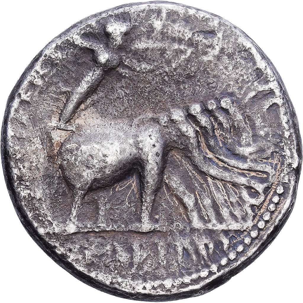 Royaume Séleucide, Seleukos I, Tétradrachme, 295-281 BC, Séleucie du Tigre