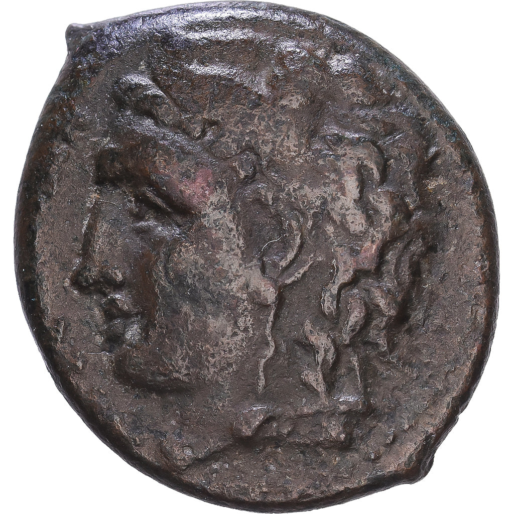 Sycylia, Ae, 278-276 BC, Messana, Brązowy, EF(40-45)