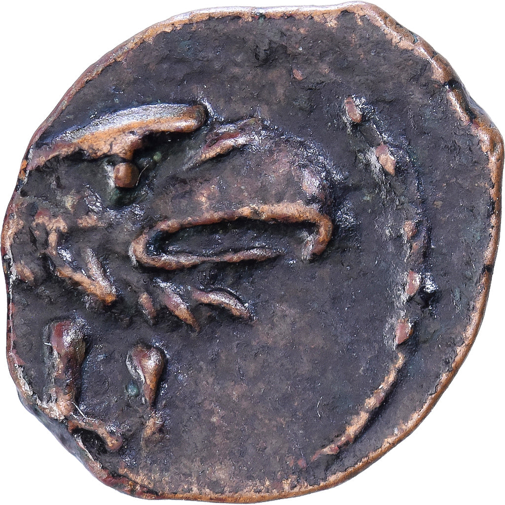 Egipt, Claudius, Ae, 49-50, Alexandria, Brązowy, AU(55-58)